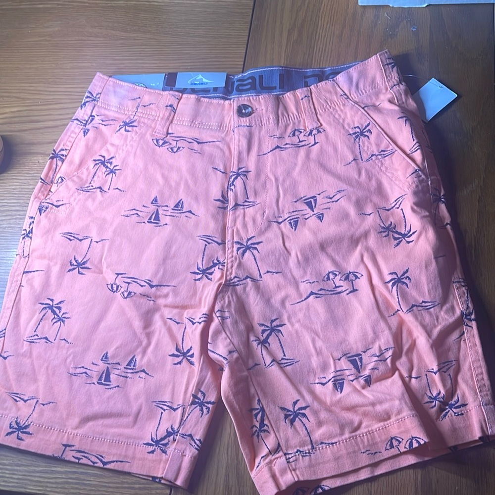 Denali men’s shorts size 30